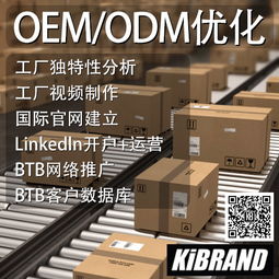 广州番禺OBM合作收费模式解析 电子商务视角
